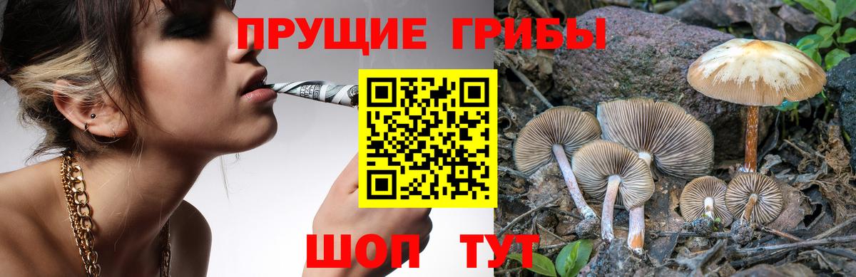 Галлюциногенные грибы Psilocybe  Вход с VPN  Учалы 